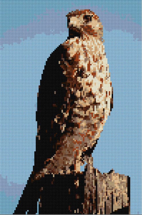 Hawk free cross-stitch pattern