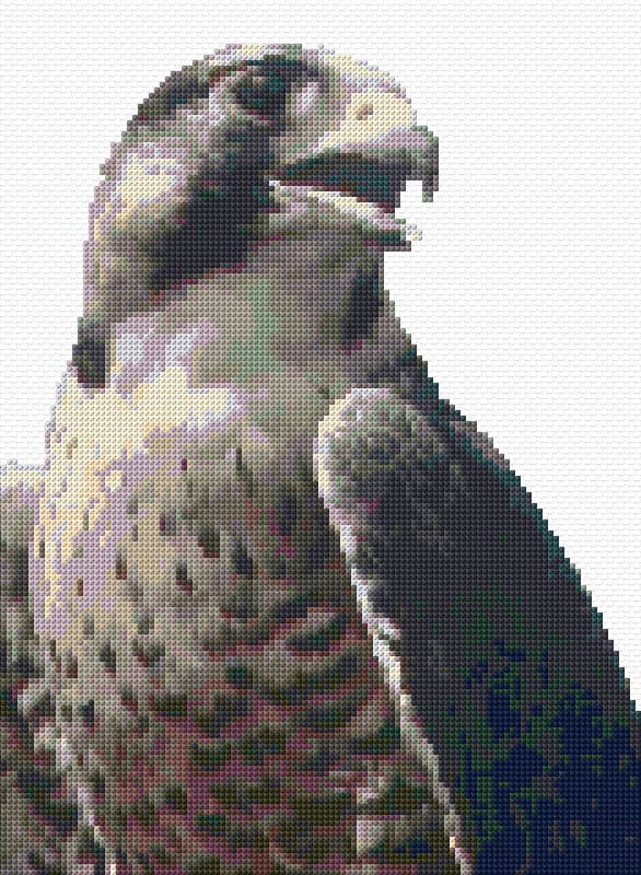 Falcon free cross-stitch pattern