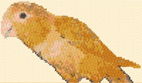 Yellow Parrot free cross-stitch pattern