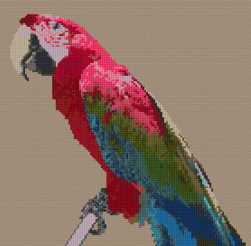 Maccaw Parrot free cross-stitch pattern