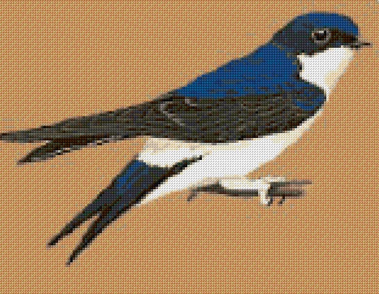 Swallow free cross-stitch pattern