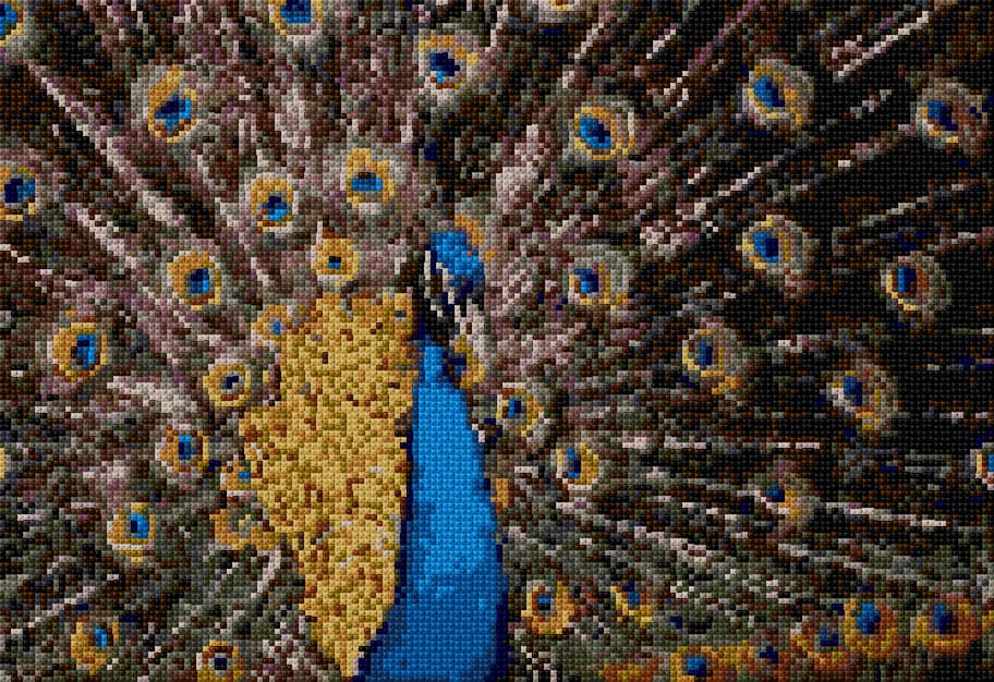 Peacock free cross-stitch pattern