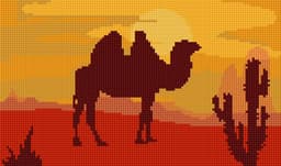 Camel