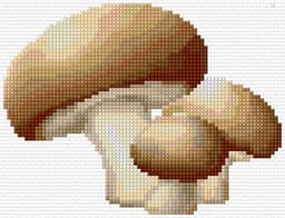 Mushrooms