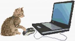 Kitten and Computer