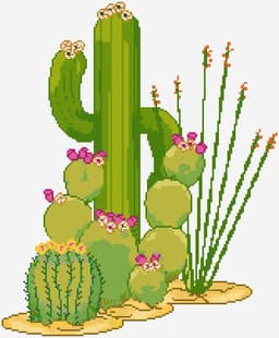 Cacti