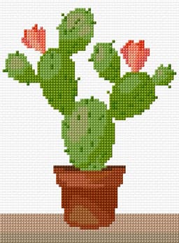 Blooming Cactus